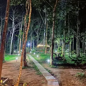 Tall Trees - Modern Forest In Wayanad Villa
